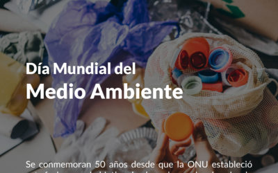 Día Mundial del Medioambiente 2023